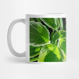 Hosta Leaves In The Rain 8 Mug